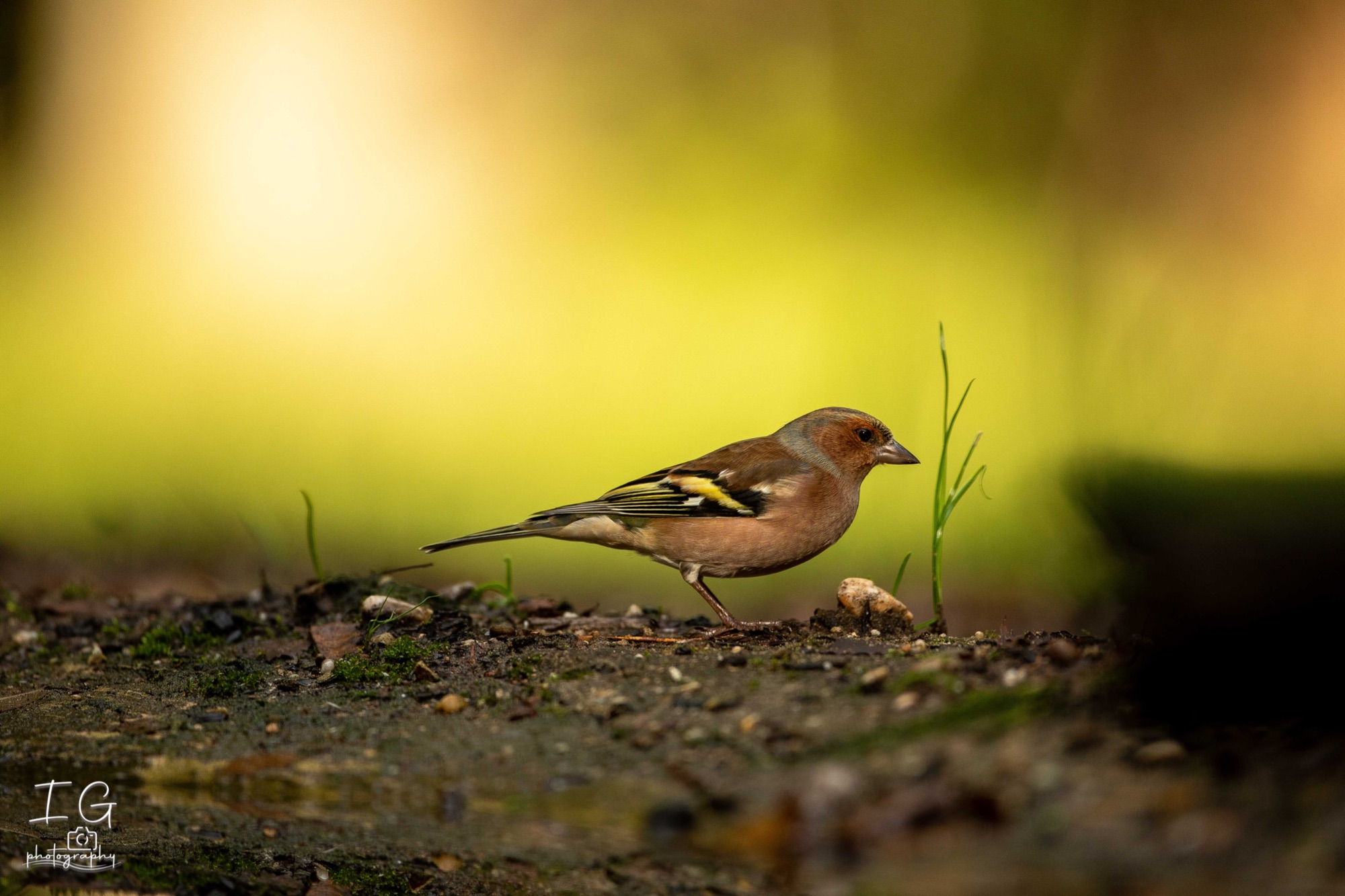 20211015  5D49316 instagram